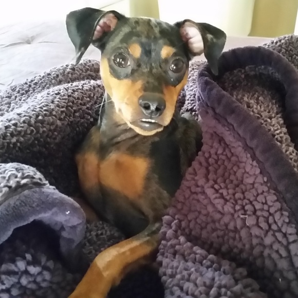 Meet your Posher, Annette - Picture 2 of 2